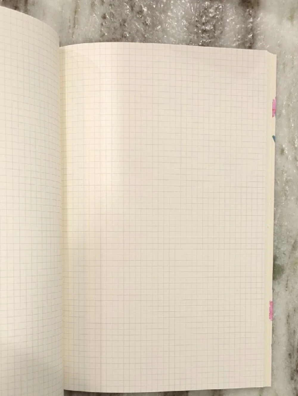 Floral Stem Journal - Cream Background with Multicolor Flowers
